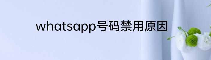 whatsapp号码禁用原因