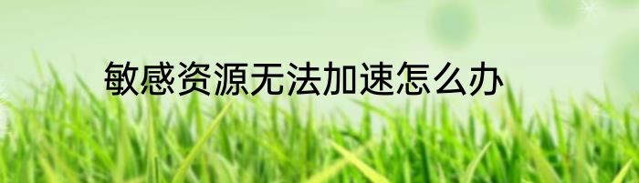 敏感资源无法加速怎么办