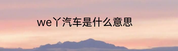 we丫汽车是什么意思