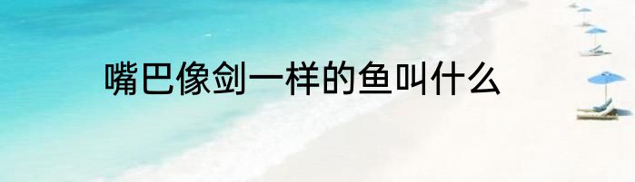 嘴巴像剑一样的鱼叫什么