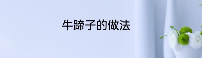 牛蹄子的做法