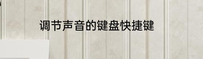 调节声音的键盘快捷键