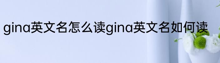 gina英文名怎么读gina英文名如何读