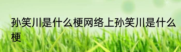 孙笑川是什么梗网络上孙笑川是什么梗