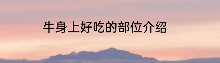 牛身上好吃的部位介绍