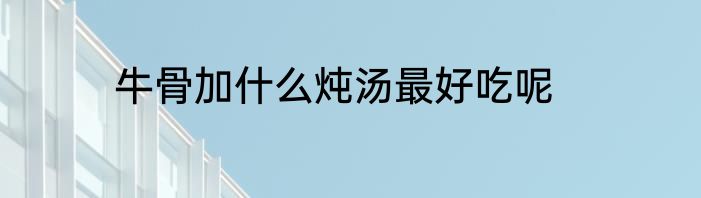 牛骨加什么炖汤最好吃呢