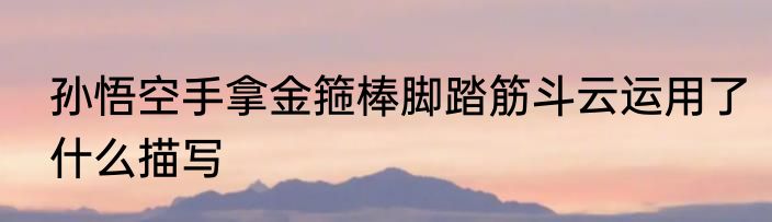 孙悟空手拿金箍棒脚踏筋斗云运用了什么描写