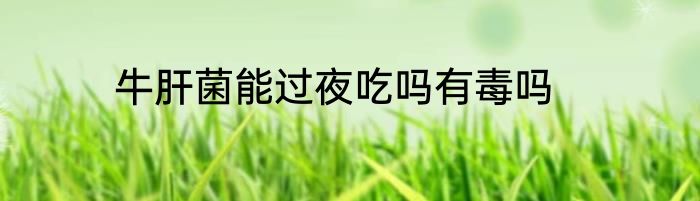 牛肝菌能过夜吃吗有毒吗