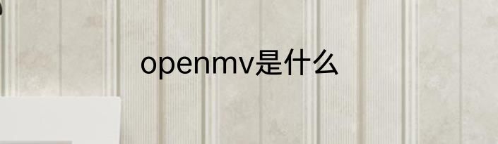 openmv是什么