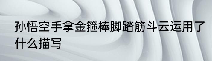 孙悟空手拿金箍棒脚踏筋斗云运用了什么描写