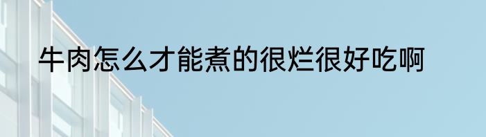 牛肉怎么才能煮的很烂很好吃啊