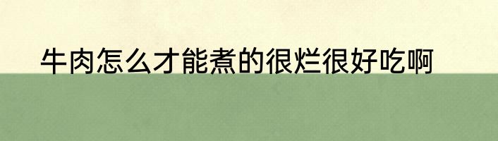 牛肉怎么才能煮的很烂很好吃啊