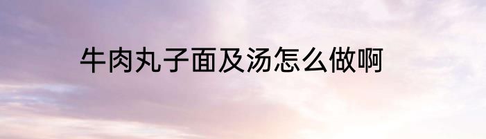 牛肉丸子面及汤怎么做啊