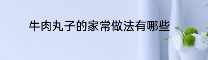 牛肉丸子的家常做法有哪些