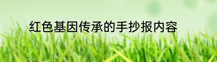 红色基因传承的手抄报内容