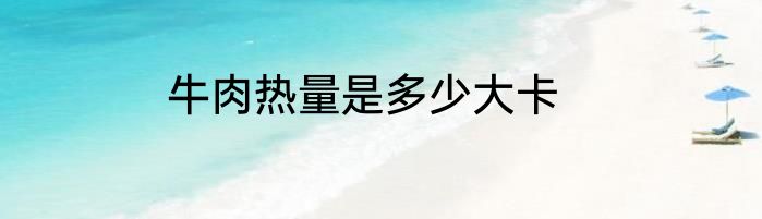 牛肉热量是多少大卡