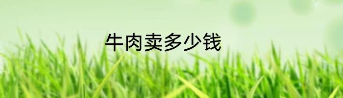 牛肉卖多少钱