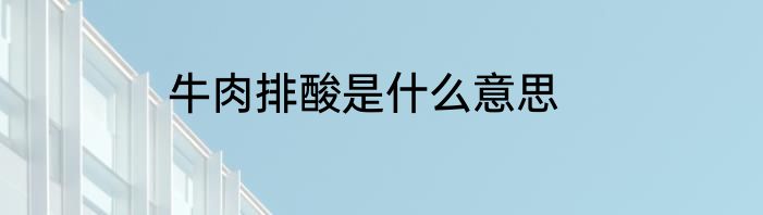 牛肉排酸是什么意思