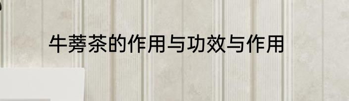 牛蒡茶的作用与功效与作用
