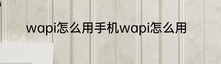 wapi怎么用手机wapi怎么用