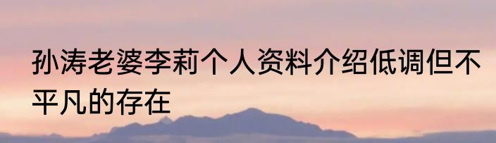 孙涛老婆李莉个人资料介绍低调但不平凡的存在