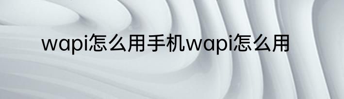 wapi怎么用手机wapi怎么用