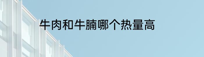 牛肉和牛腩哪个热量高