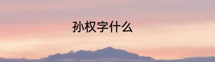 孙权字什么