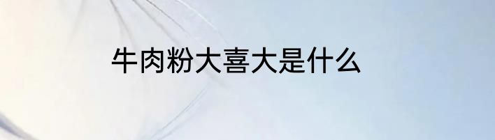 牛肉粉大喜大是什么