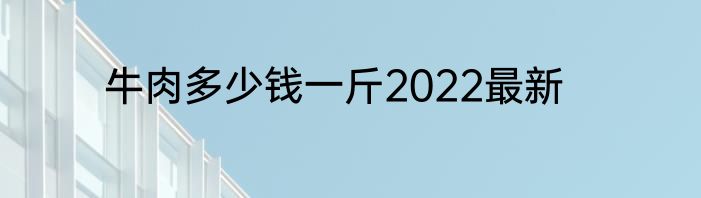 牛肉多少钱一斤2022最新