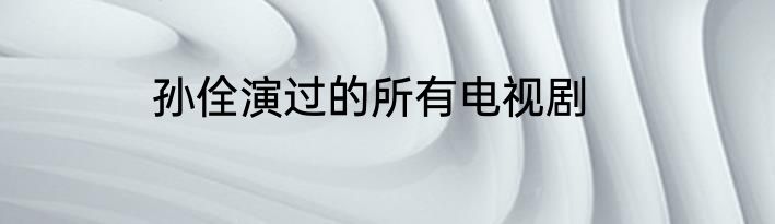 孙佺演过的所有电视剧