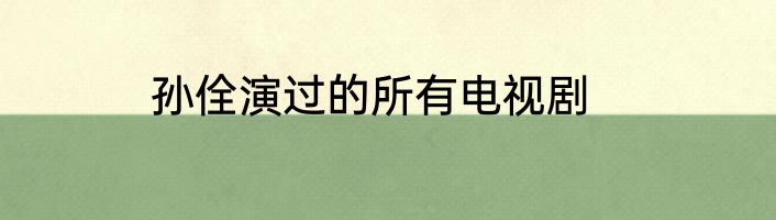 孙佺演过的所有电视剧