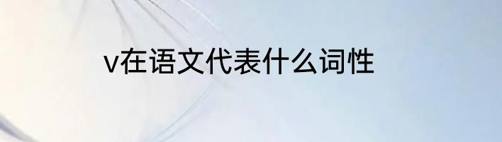 v在语文代表什么词性