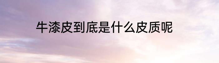 牛漆皮到底是什么皮质呢