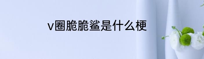 v圈脆脆鲨是什么梗