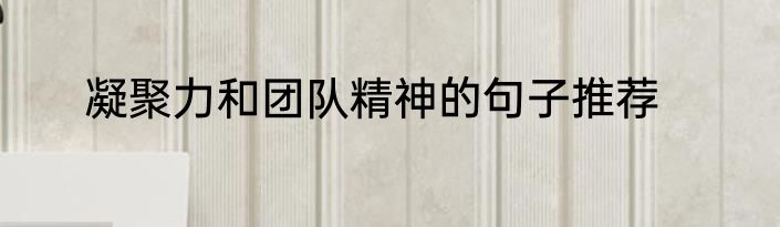 凝聚力和团队精神的句子推荐