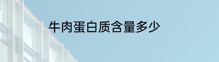 牛肉蛋白质含量多少