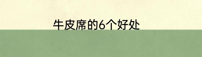 牛皮席的6个好处