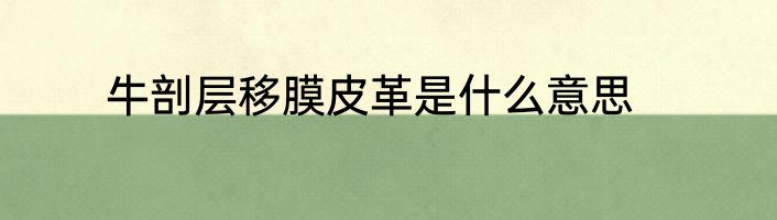 牛剖层移膜皮革是什么意思
