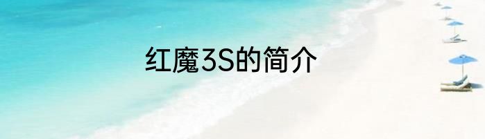 红魔3S的简介