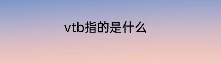 vtb指的是什么