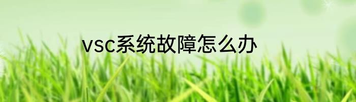 vsc系统故障怎么办