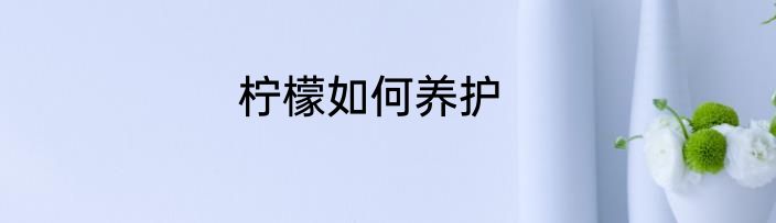 柠檬如何养护