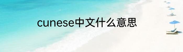 cunese中文什么意思