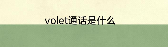 volet通话是什么