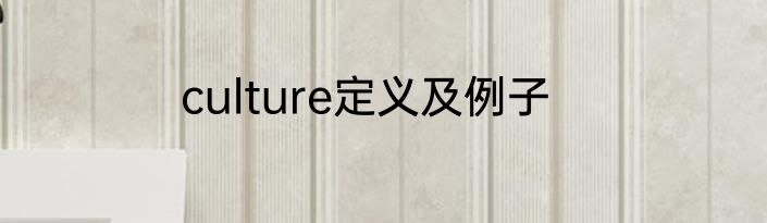 culture定义及例子