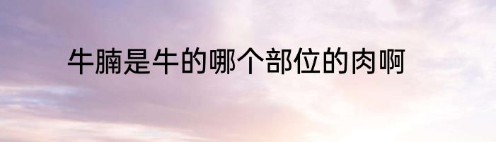 牛腩是牛的哪个部位的肉啊
