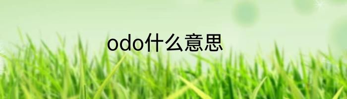 odo什么意思