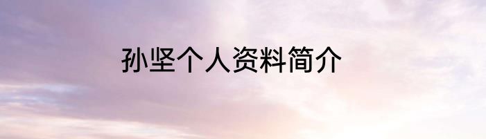 孙坚个人资料简介
