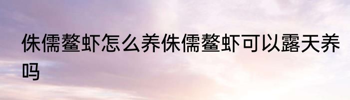 侏儒鳌虾怎么养侏儒鳌虾可以露天养吗